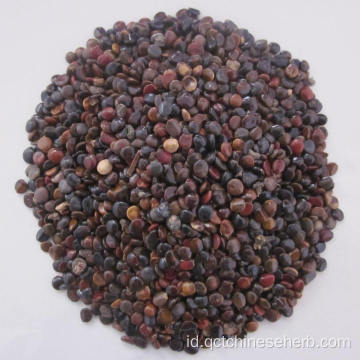 Fructus Noveniae Herbal Cina